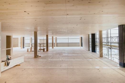 Construction commerciale hall logistique Weber, Seewen (SZ)